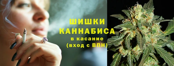 дурь Горно-Алтайск