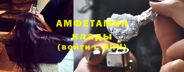 гашик Горняк