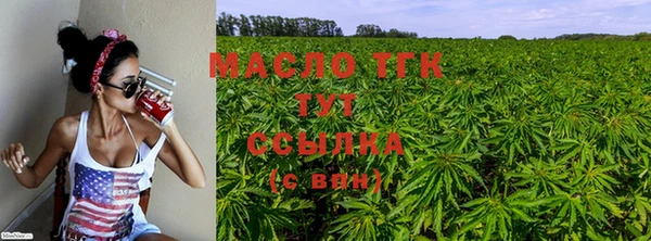 гашик Горняк