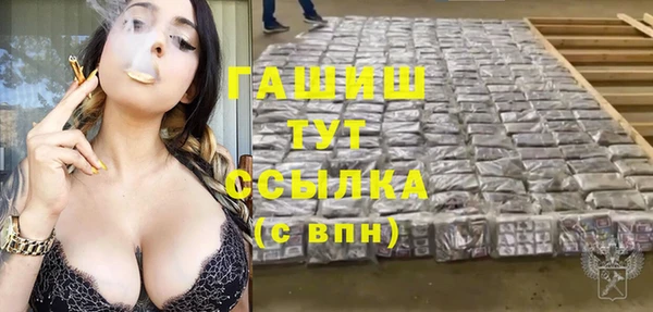 гашик Горняк