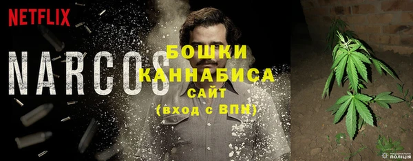 гашик Горняк