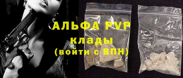 гашик Горняк
