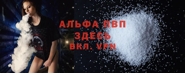 гашик Горняк