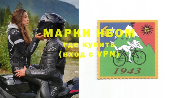 гашик Горняк