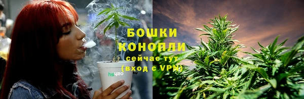 дурь Горно-Алтайск