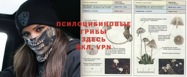 шишки Горнозаводск