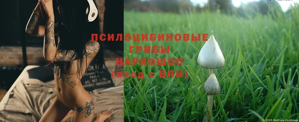 дурь Горно-Алтайск