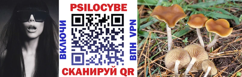 Галлюциногенные грибы Cubensis  купить  сайты  Находка 